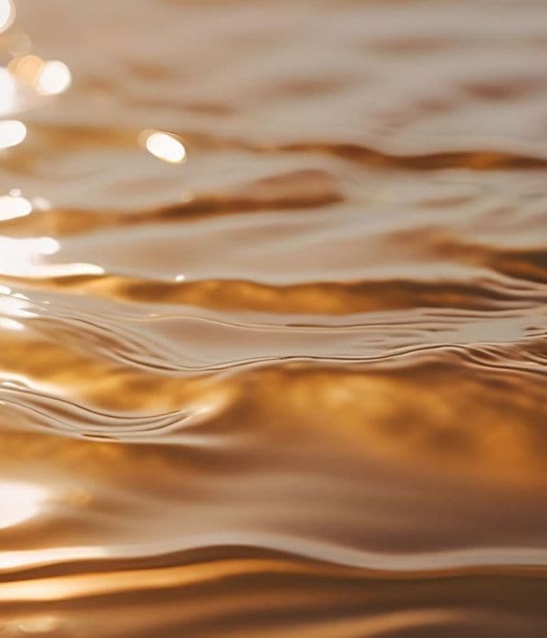 Choose your tier & pay